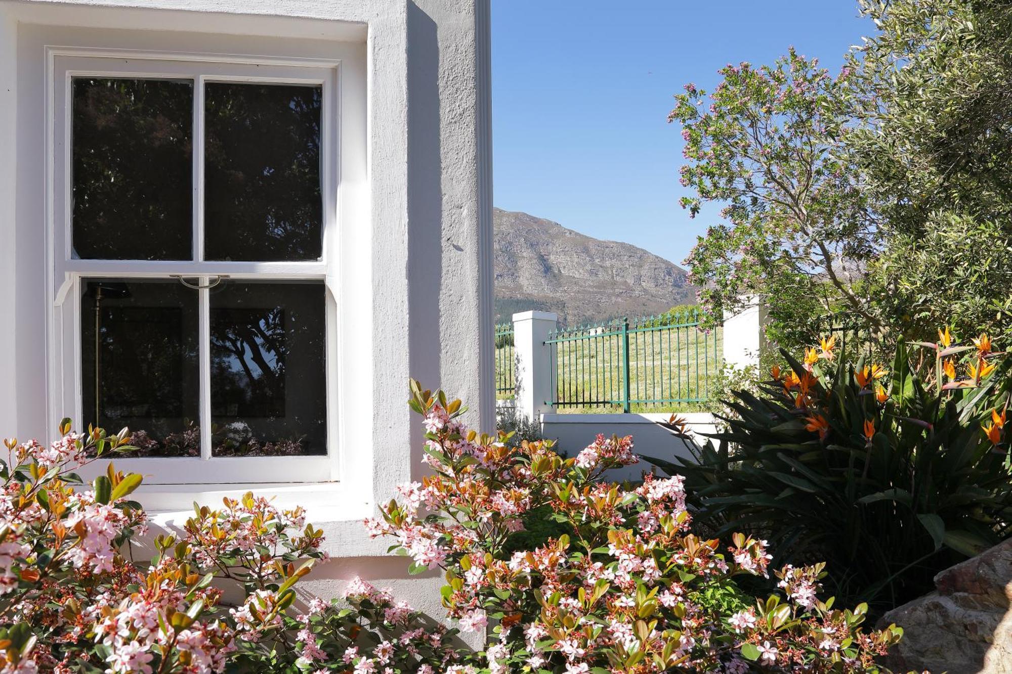 La Belle Vie Villa Franschhoek Ngoại thất bức ảnh